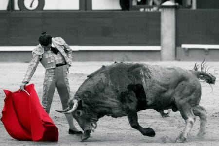 Muletazo en Las Ventas