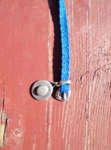 pulsera fajín castoreño