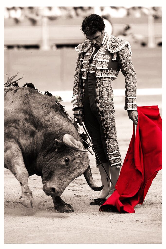 Picture the greatness of jose tomas bullfighter