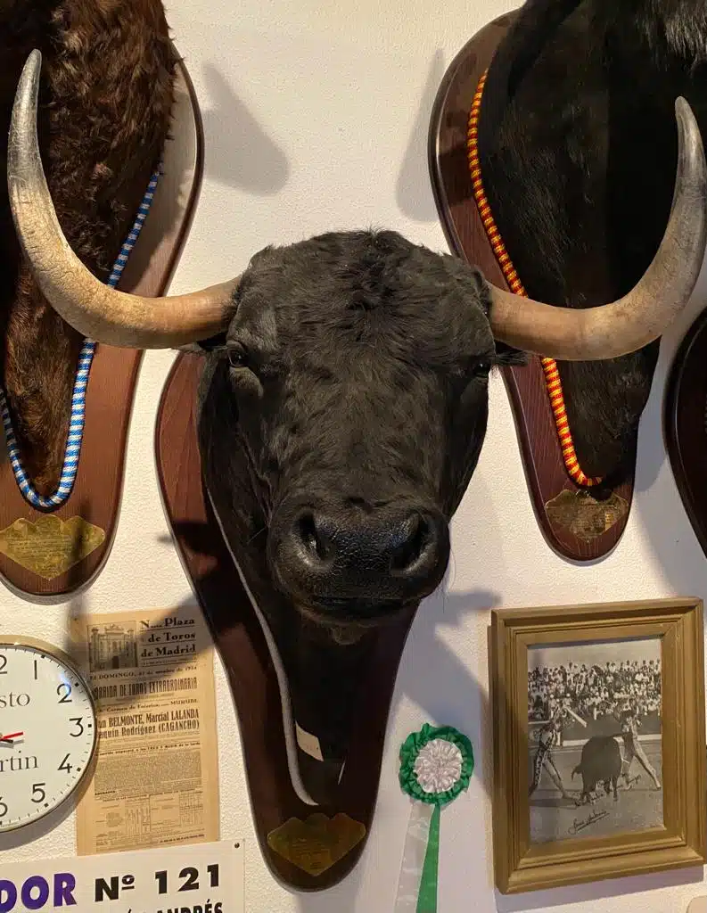 Fusta de toro auténtica hecha a mano en España - Piel auténtica - MedieWorld