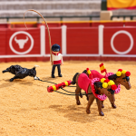 Mulillero-Tiro-de-Arrastre