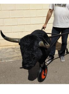 XXL iron training cart of 80 cm