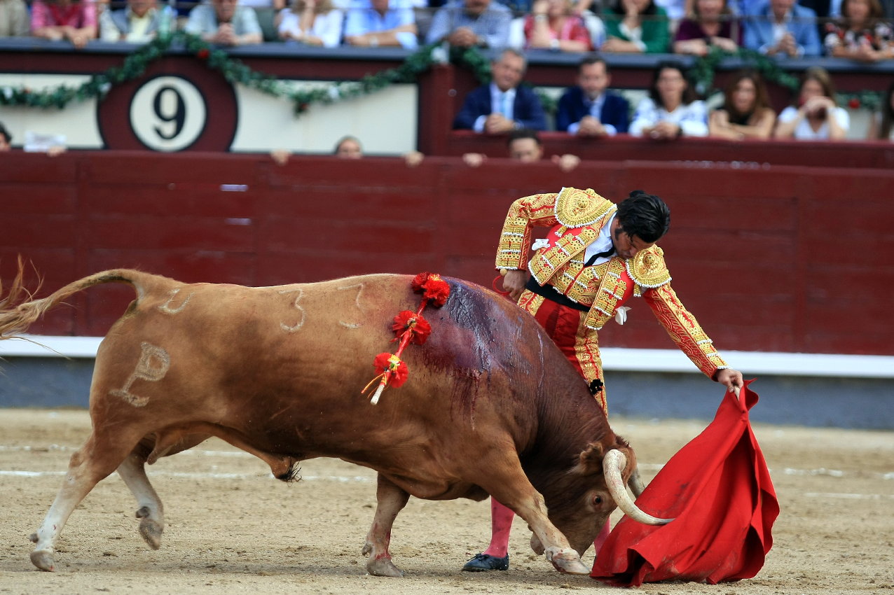 Morante Naturally Morante Naturally